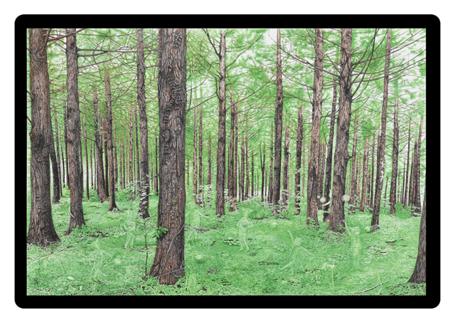 フレッシュグリーンの森